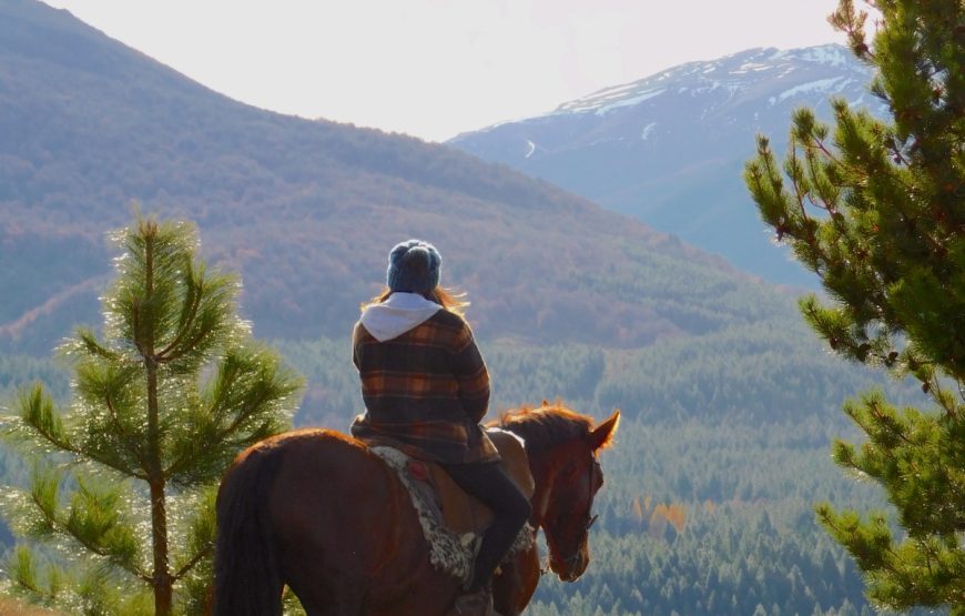 Cabalgatas de montaña. Lago Lolog