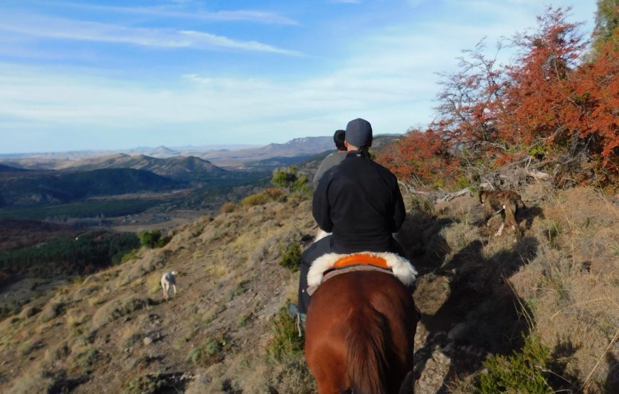 Cabalgatas de montaña. Lago Lolog