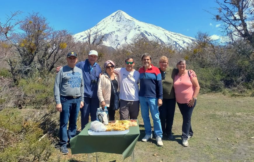 Volcán Lanín + lago Tromen + Caminata base del Volcán