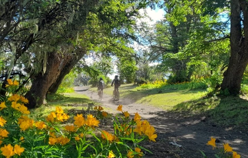 Mountain Bike. Laguna Rosales