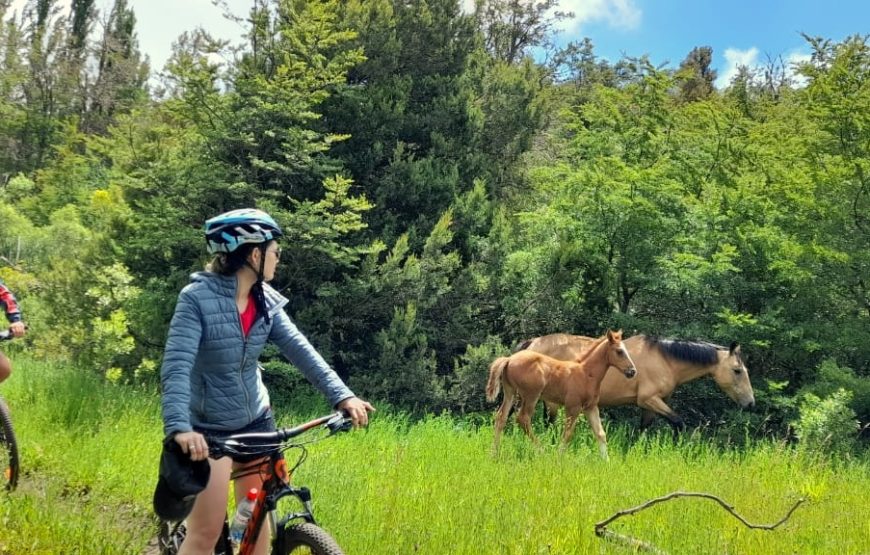 Mountain Bike. Laguna Rosales