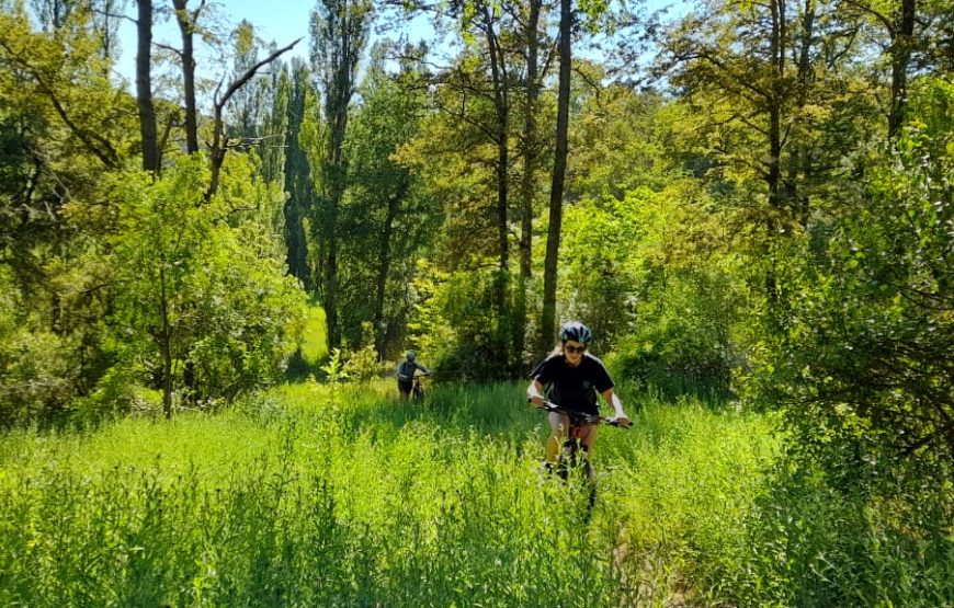 Bike Tour. Ruta de los 7 Lagos Full Bike, el mejor!!!