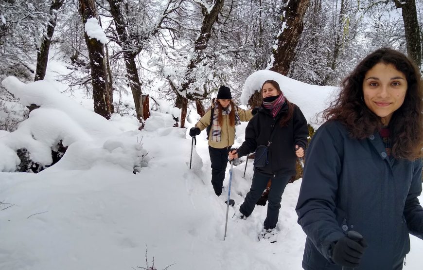 Caminata con Raquetas