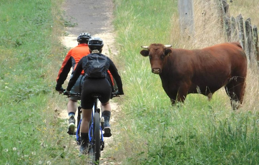 Bike Tour – Doble cruce de la cordillera Argentina – Chile