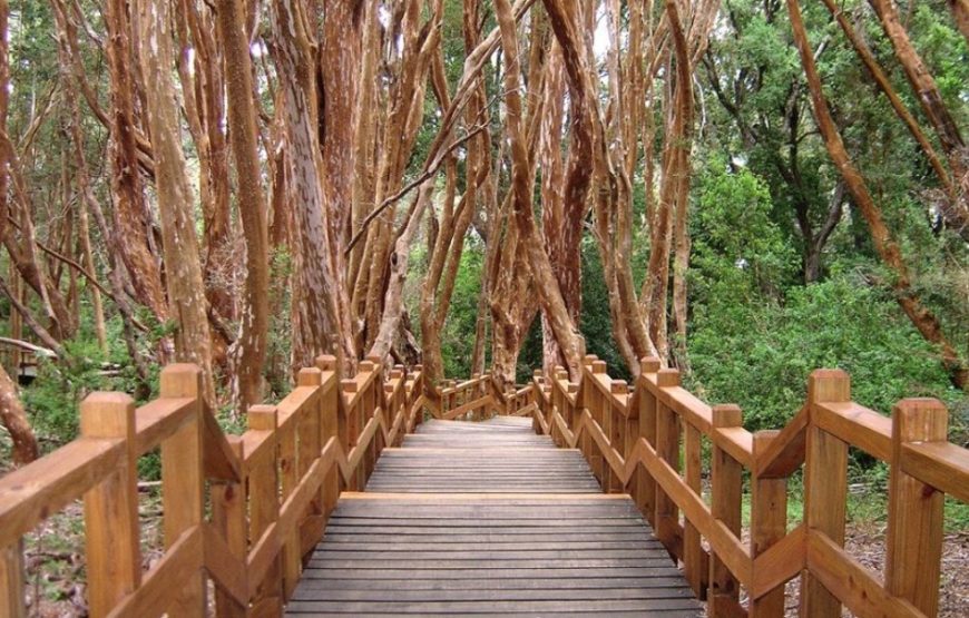 Escapada Villa la Angostura – Hotel 4****