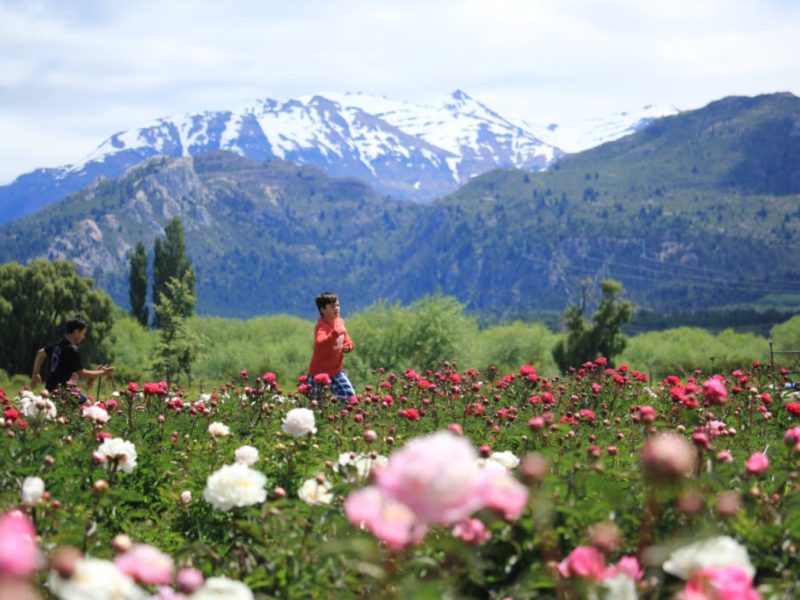 Escapada Esquel + Campo de Peonías. – Hotel 4****